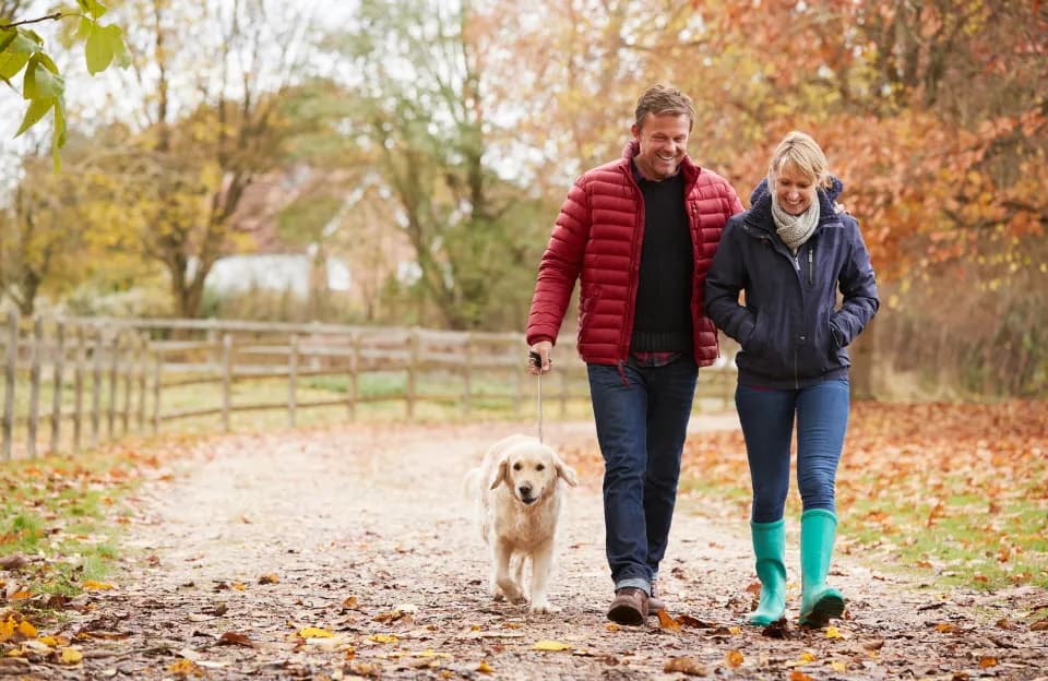 couple walking a dog 