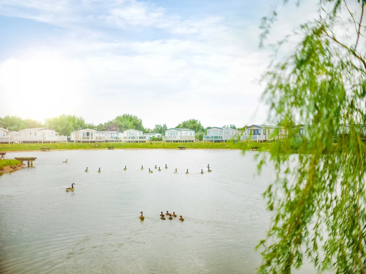 Grange Cinematic Pond View With Ducks 2