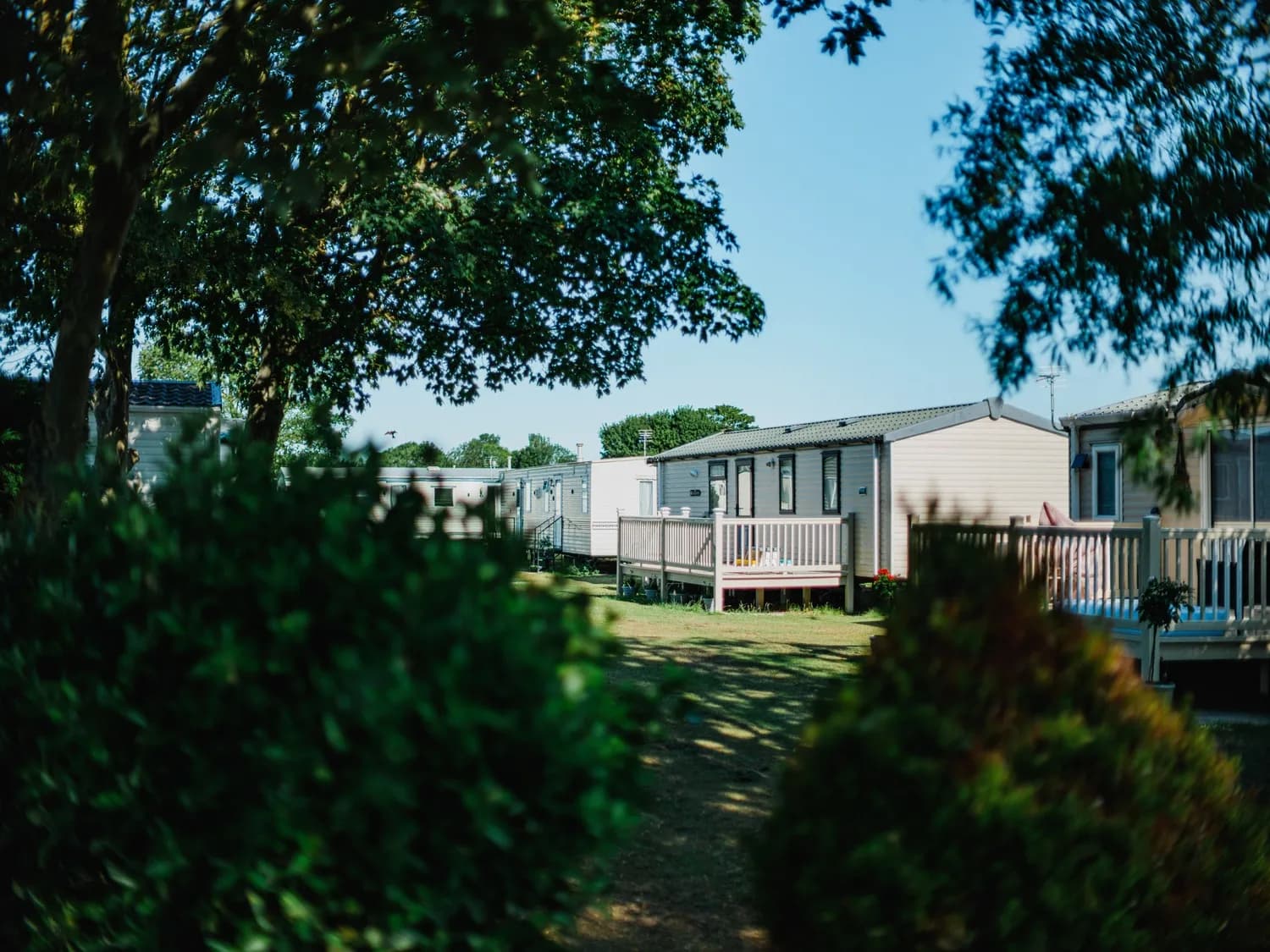 North Shore Greenery and Trees in Foreground with Caravans in Distance 2