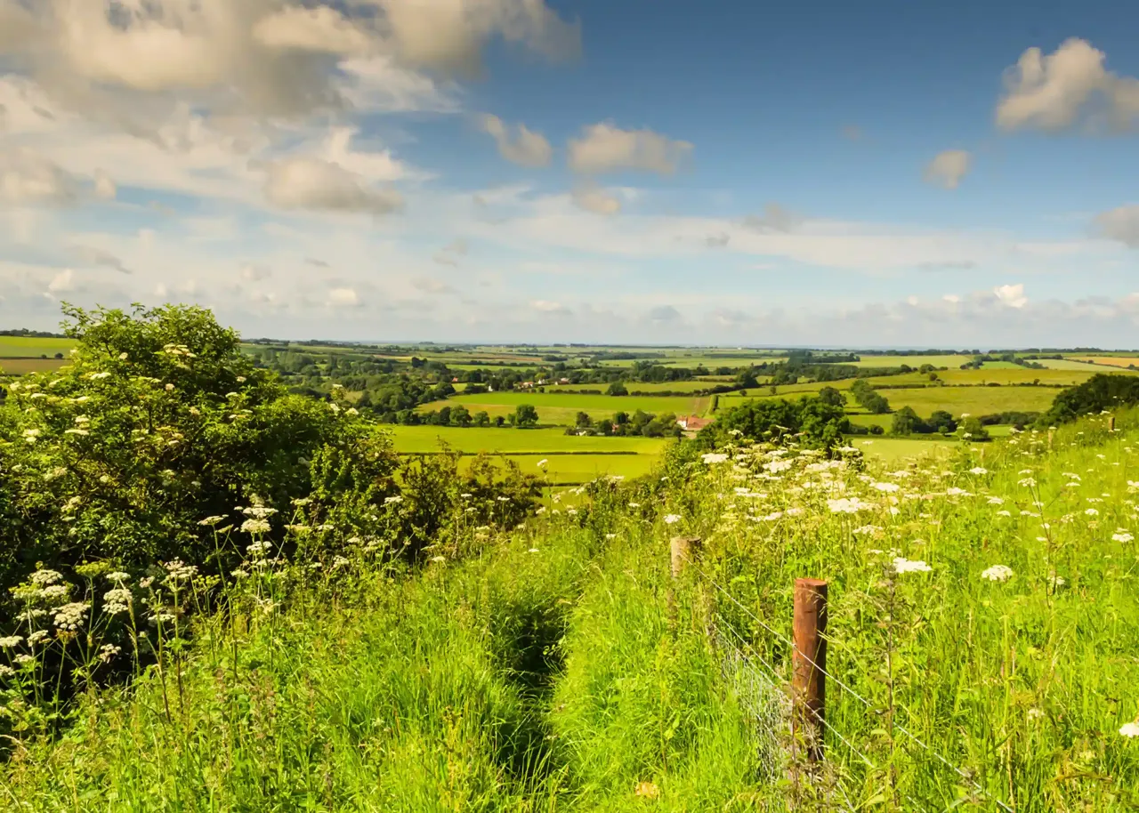 lincolnshire wolds