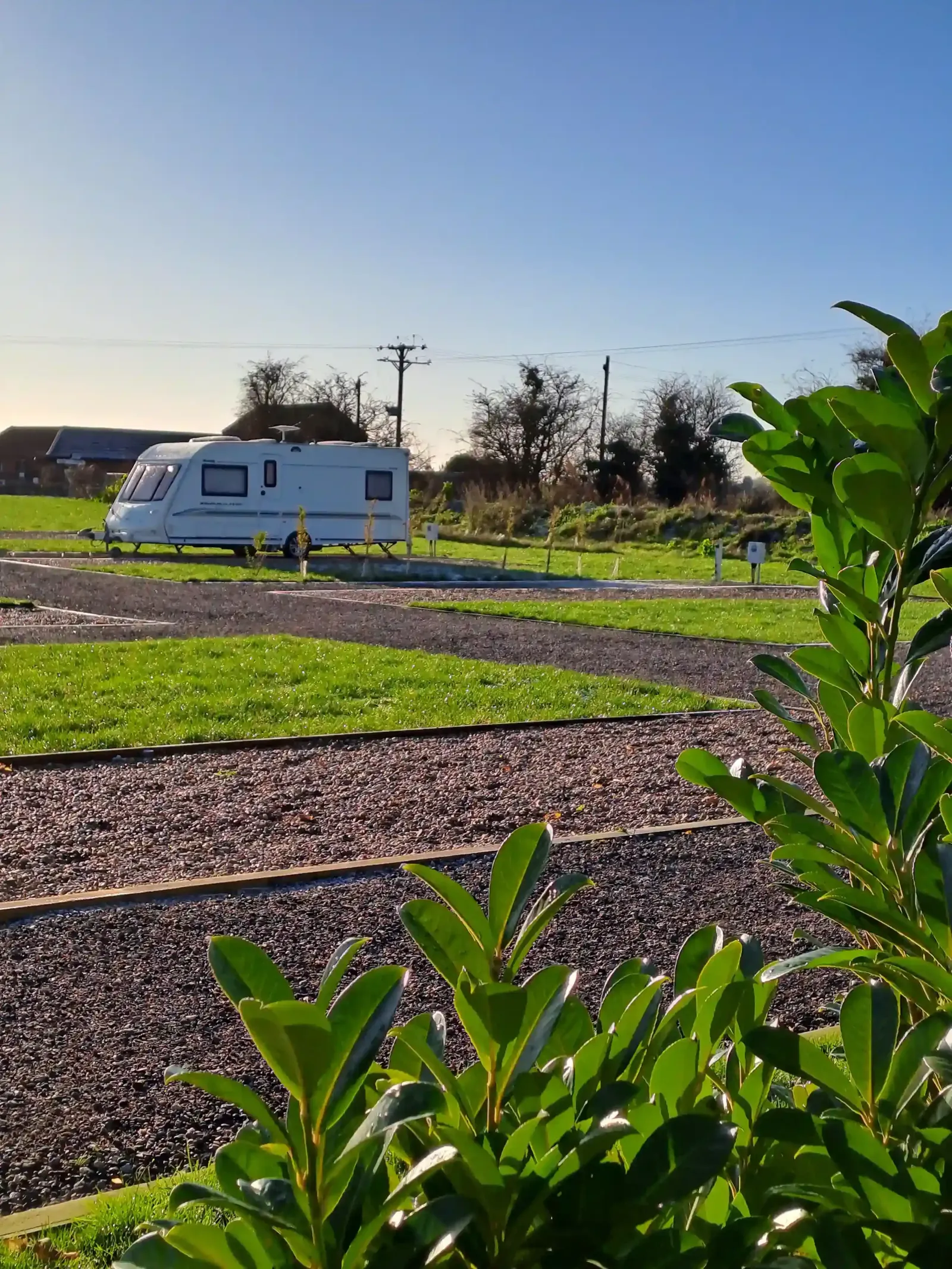 Poplar Farm-skegness-Touring caravan-super pitch-seasonal touring 