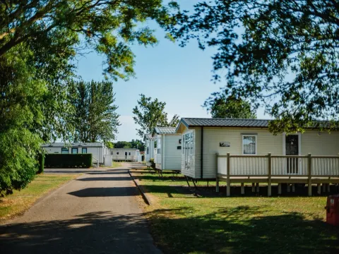North Shore Caravan Park Road with Caravans on Both Sides 2