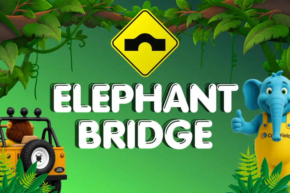 Cross the Elephant Bridge