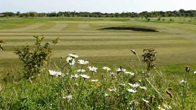 golf course