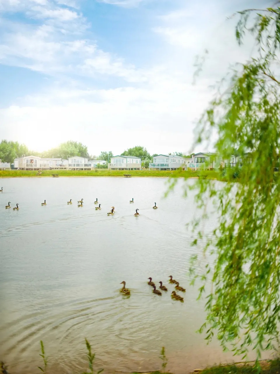 Grange Cinematic Pond View With Ducks