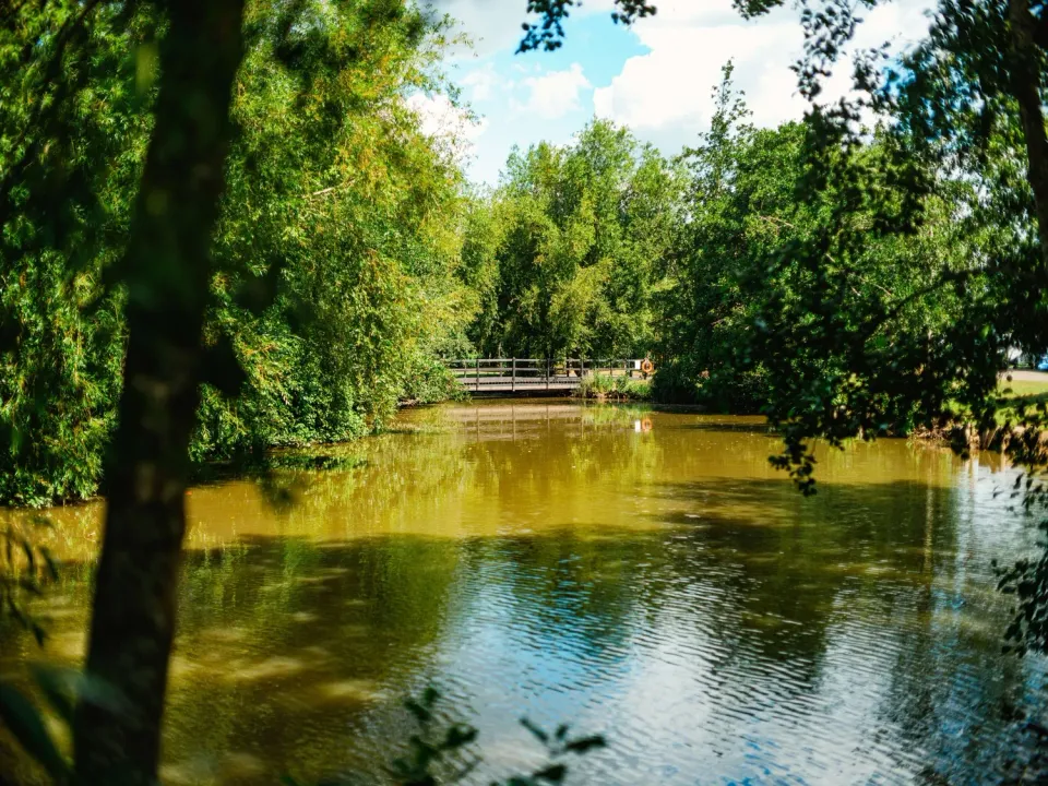 Roach Farm Fishing Pond Greenery trees 3