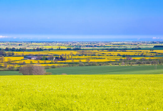 Lincolnshire-Wolds-Fields-View